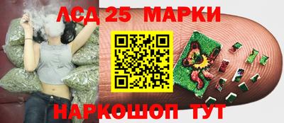 хмурый Обь