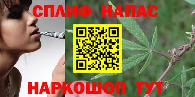 хмурый Обь