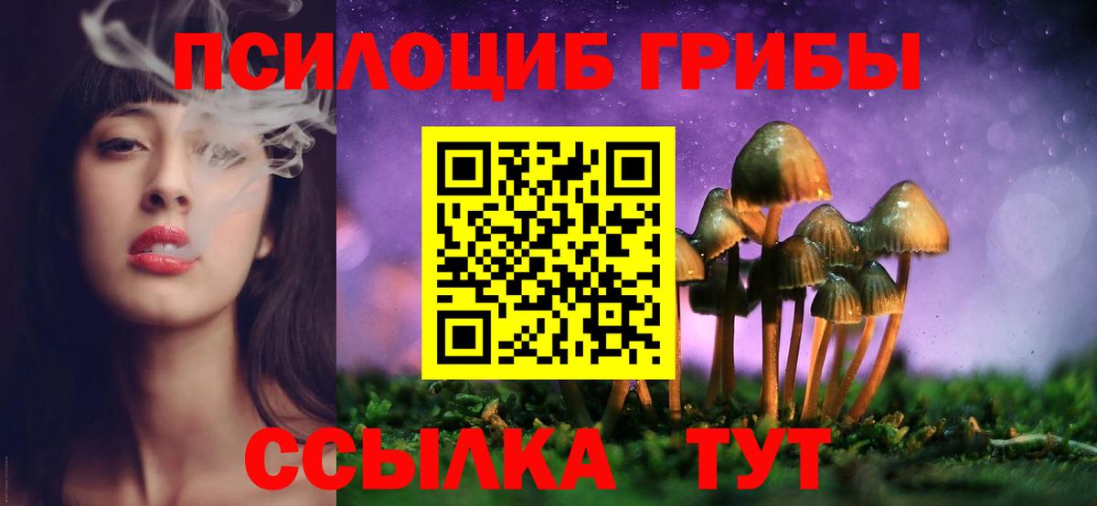 Ставрополь  Псилоцибиновые грибы прущие грибы  Вход с VPN 